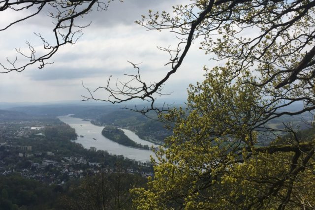 Ausblick vom Siebengebirge auf den Rhein