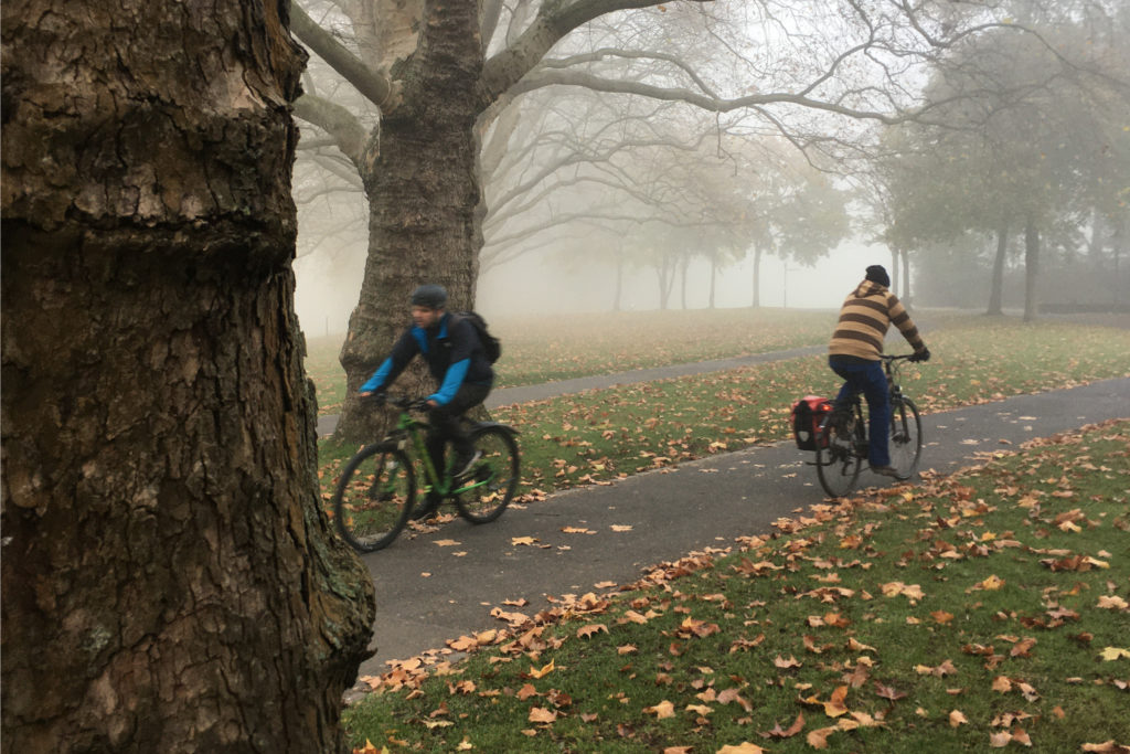 bikefolks_Radfahren_Herbst