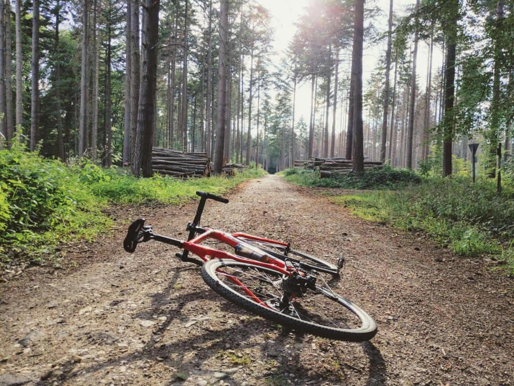 Gravelbike im Wald