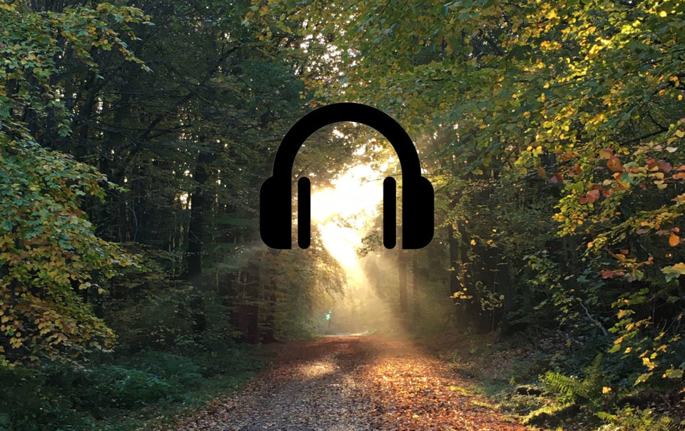 Bikefolks Fahrrad Podcast Titelbild