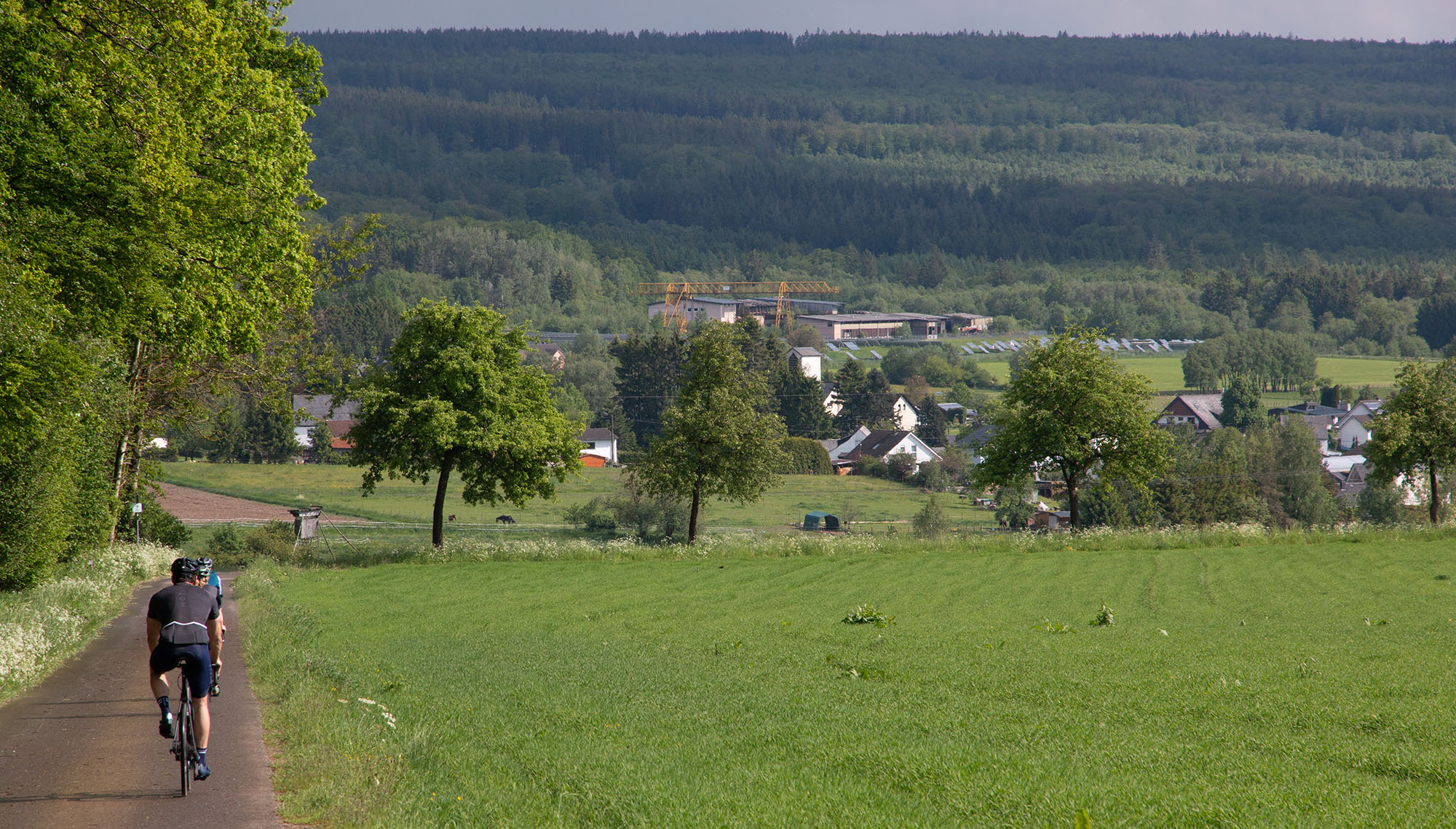 Hunsrück Landschaft am Radweg