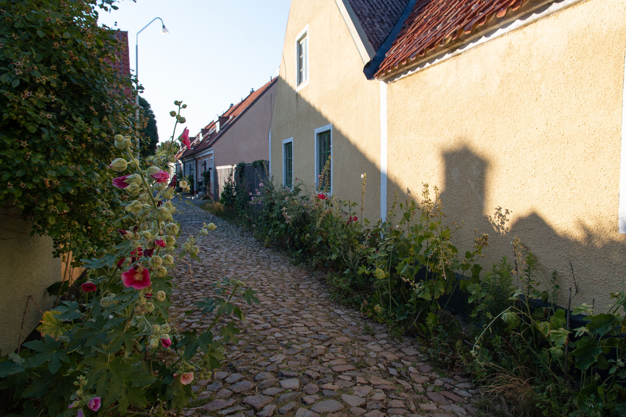 Gasse in Simrishamn