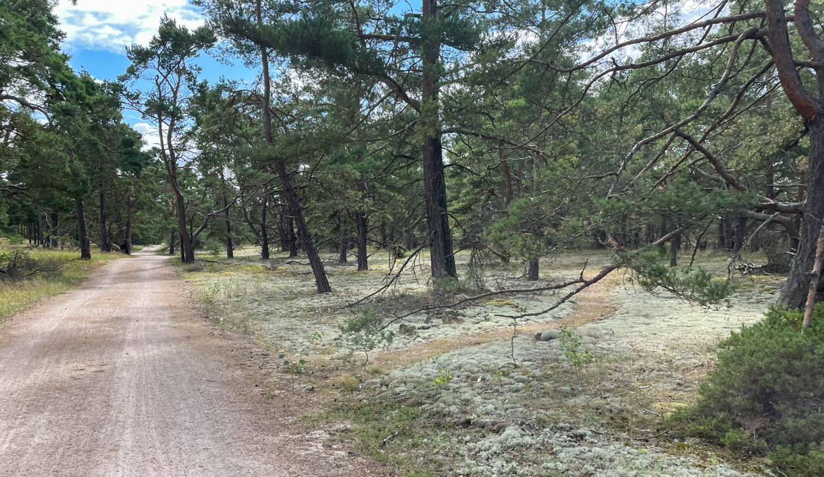 Radweg Südküste Schweden